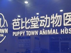 -芭比堂动物医院·24小时·眼科中心(深圳中心)