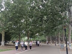 -朝阳公园游乐园