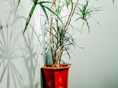 -默迹咖啡馆