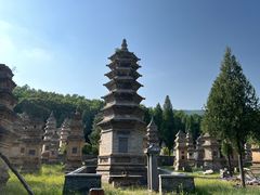 -禅宗少林·音乐大典