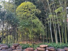 -东坡赤壁风景名胜区