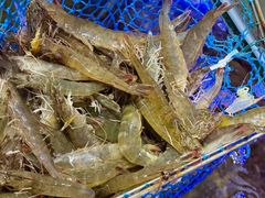 -熹悟海鲜火锅·广式打边炉