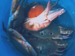 -蓝湾碧波·老字号·疍家非遗海上餐厅