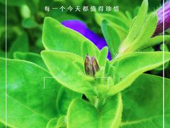-秋水广场