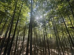 -陶祖圣境风景区