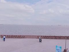 -上海滨江森林公园