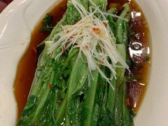 -保利·新九寨宾馆