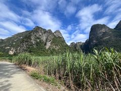 -明仕田园