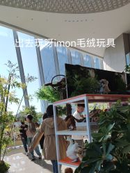 -IMON·HANSA潮玩玩偶毛绒玩具(通州万象汇店)