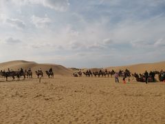 -银肯塔拉沙漠生态旅游景区