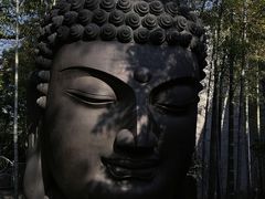 -杭州植物园
