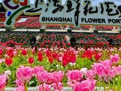 -上海鲜花港