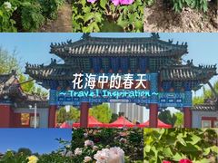 -曹州牡丹园