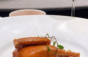 Crispy Glass Pigeon