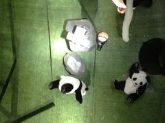 -成都泰迪熊博物馆