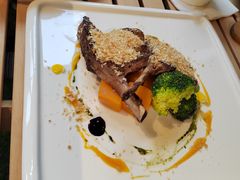 -百好乐宠物友好餐厅(朝外大街店)