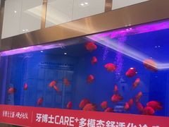 -牙博士口腔品牌连锁(杨浦店)