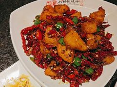 -福苗小骆驼烧烤(中关村店)