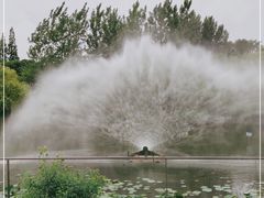 -梅林春晓花园餐厅