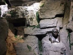 -房山世界地质公园博物馆