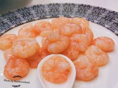 -梅龙镇酒家(南京西路总店)