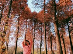 -贵阳市花溪国家城市湿地公园