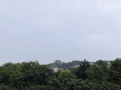 -鹦鹉寺公园