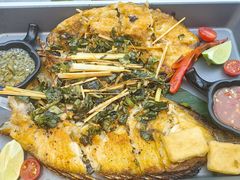 -云海肴·汽锅鸡·云南菜(高德置地店)