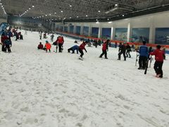 游乐设施-绍兴启迪乔波冰雪世界
