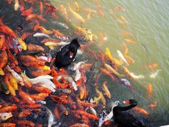 -春晖园度假酒店温泉