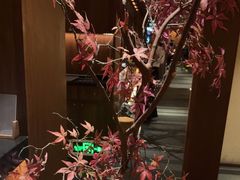 -揽季锅物会.福建黄鱼.海鲜姿造(五四路店)