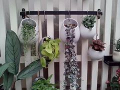 -三圣花乡旅游区