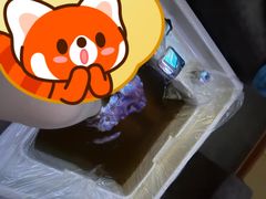 -世新养生馆(福马路店)