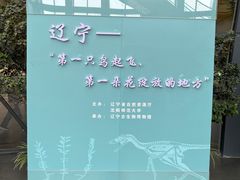 -辽宁古生物博物馆