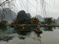 -靖西鹅泉风景区