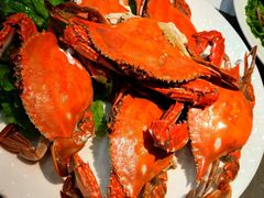 -鑫渔港海鲜本地菜·山海关浑锅(东戴河店)
