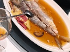 清蒸鲥鱼-HOMES上海本帮菜(襄阳公园店)