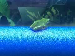 -三旗百汇商品城