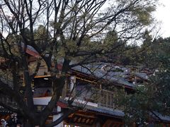 -沈记土鸡米线(七星街品牌中心店)