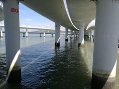 景点-演武大桥观景平台