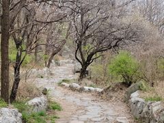 -阳台山自然风景区