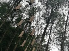 -梦幻奥陶纪景区