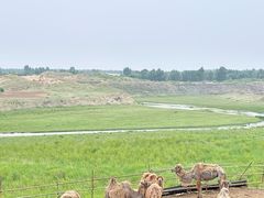 -库伦旗银沙湾旅游景区