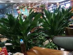 -巴依老爷新疆美食(望京小街店)