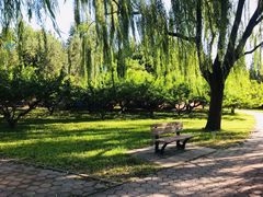 -朝阳公园游乐园