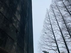 -音乐台