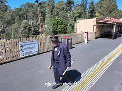 -普芬比利蒸汽火车