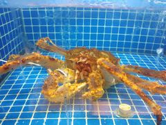 -徽三说·土徽菜·中国徽菜连锁品牌(一中店)