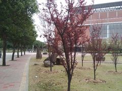 android_upload_pic-福建师范大学(仓山校区)
