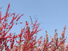 -贮水山儿童公园